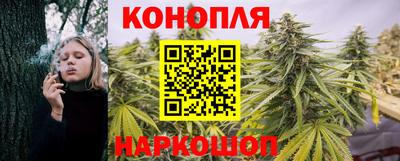 СК Новокубанск