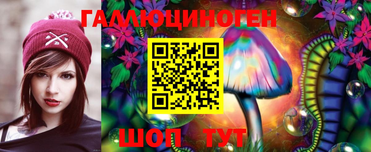 Ставрополь  Псилоцибиновые грибы MAGIC MUSHROOMS  Вход с VPN 