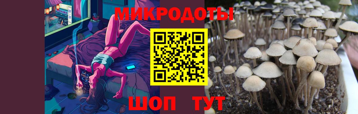 Галлюциногенные грибы ЛСД Ставрополь